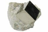 Perfect, Natural Pyrite Cube In Rock From Spain #82067-1